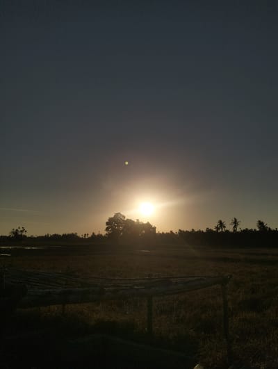The image depicts a rural landscape during sunset or sunrise, with the sun low on the horizon. The sky transitions from a dark blue at the top to a warm yellow-orange near the horizon. A bright sun, partially obscured by trees, is the focal point. Silhouetted against the sky are various trees, including palm trees, forming a treeline across the middle ground. In the foreground, there is a dark, grassy field with what appears to be a low, rectangular structure covered with a netting or tarp. The overall impression is one of a tranquil, natural setting in Lhokkulam, Indonesia.