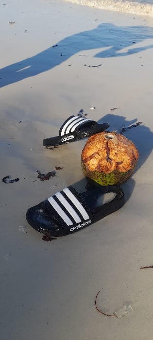 The scene depicts a segment of a wet sand beach in the city of Ziwa La Ng'ombe ward, Kenya. In the mid-ground, two black Adidas brand slide sandals, each featuring three white stripes on the strap, rest on the damp, light-colored sand. Between the two sandals lies a single, partially husked coconut, exhibiting a brown, fibrous outer layer with remnants of green husk visible. The sand is moist, reflecting light, and scattered with small dark organic debris, likely seaweed. At the top of the frame, a shallow body of water with minimal wave activity is visible. Long, distinct shadows, including one that appears anthropomorphic, are cast across the wet sand, indicating a low sun angle. A faint, translucent object is present in the lower right portion of the image. No individuals are directly visible, but the large shadow suggests the presence of a person.