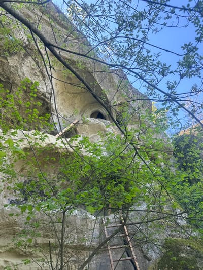 The image shows a rock formation in Blaskovo, Bulgaria. The rock is light gray and partially covered with green moss and foliage. A small metal ladder is affixed to the right side of the rock face. A round hole is visible on the left side of the rock. The sky above is blue and visible through sparse tree branches.