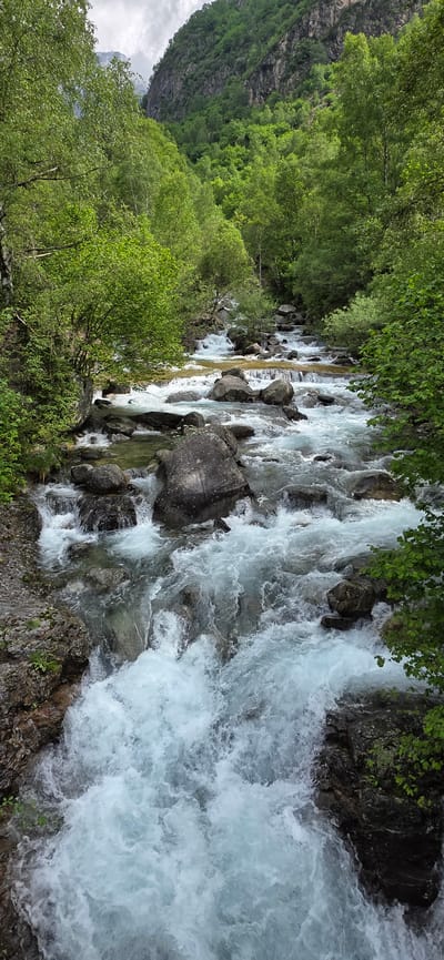 A dynamic natural landscape is captured, showcasing a fast-flowing mountain river cutting through a verdant valley. The primary subject is the river, which is characterized by turbulent, foamy, white water in many sections, indicating strong rapids and cascades as it flows over and around numerous large rocks and boulders. In some shallower or calmer areas, the riverbed is visible through clearer water, revealing lighter-colored sediment and submerged stones.
Both banks of the river are densely covered with lush green trees and bushes, vibrant with foliage, suggesting a season of full growth like spring or summer. To the left of the river, a steep, rocky mountain face or cliff rises dramatically, partially covered in greenery, forming a rugged backdrop. The sky above is partly cloudy, casting a soft, diffused light over the scene. There are no visible people or man-made objects. The image depicts a natural, untamed environment, possibly within the mountainous region near Sahún, Spain, emphasizing the power and beauty of flowing water in a pristine setting. No text is visible in the image.