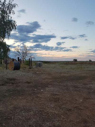 The image depicts an outdoor scene with a wide expanse of dry, grassy terrain under a dusky sky. The sun appears to be setting or has recently set, casting soft hues of orange and pink across the horizon where it meets the blue sky dotted with clouds. In the foreground, a large wooden spool, possibly for cables or wires, rests on the dry ground. To the left, a leafless tree stands starkly against the sky, its branches reaching out like skeletal fingers. A patch of green foliage is visible behind the tree. In the distance, several more wooden spools are stacked, and what appears to be a fence line stretches across the landscape, separating the foreground from the more distant fields and sparse trees. The overall impression is one of a rural, somewhat arid environment, captured during the twilight hours. There is no visible text in the image.