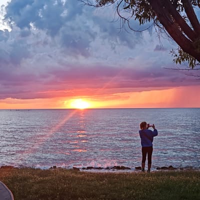 A person is standing on a grassy shoreline, facing a body of water and a dramatic sunset. The sky is filled with colorful clouds in shades of pink, orange, and purple, with the sun appearing as a bright light on the horizon. The water is choppy, with small waves breaking against the rocky shore. The person is wearing a blue jacket and black leggings, and is holding up a phone to take a picture of the sunset. In the distance, on the water, there are small objects that appear to be windsurfers or small boats. A tree with bare branches hangs into the frame from the upper right corner, casting a shadow on the scene. The location is the shore of a lake or sea, likely in or near Челядиновское сельское поселение, Ukraine, given the context of the user's request.