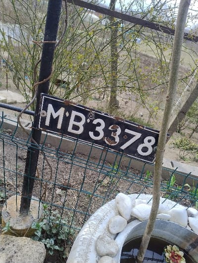 The scene is an outdoor, residential or garden area in Dolno Linevo, Bulgaria. In the foreground, an old, weathered black license plate with white characters "M'B 3378" is horizontally attached to a black metal fence post. The license plate exhibits rust and wear, particularly around the numbers. The fence post is anchored in a concrete base, and a green wire mesh fence extends behind it.
To the lower right, a white-painted car tire serves as a planter, filled with numerous irregularly shaped white stones. Inside this tire, a galvanized metal bucket contains water, from which a slender, leafless sapling or stem emerges. A small, multi-colored artificial flower, predominantly red and yellow, is present on the water surface within the bucket. The ground around the fence and tire consists of dirt with sparse patches of green vegetation.
The background features a dense network of thin, bare or newly budding tree branches and twigs, indicating early spring or late winter. Beyond this vegetation, a sloped, natural terrain is visible, with distant trees and a faint, light-colored structure on the horizon under a pale sky. No individuals are present in the image.