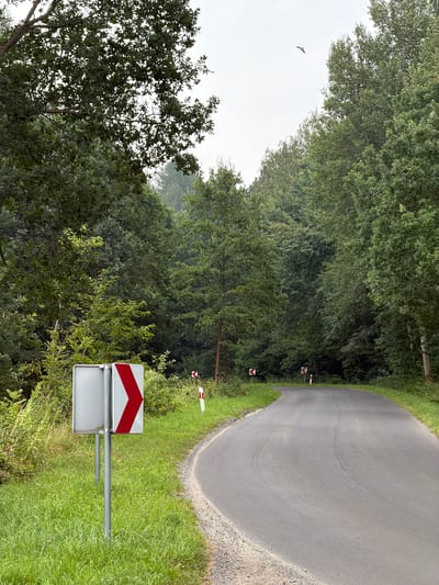 This is a photograph taken on a rural road in Milęcice, Poland, likely during overcast weather. The road curves to the right and is flanked by dense, mature deciduous trees. On the left side of the road, a directional sign with a red chevron on a white background warns of a sharp curve. Further down the road, two smaller chevron signs are visible on the right side, also indicating a curve. A bird is flying in the distance in the sky above the trees. The foreground is dominated by green grass and some wildflowers along the roadside. No people or animals are visible on the road or immediately surrounding the area. The scene conveys a sense of a quiet, natural setting with clear road safety signage.