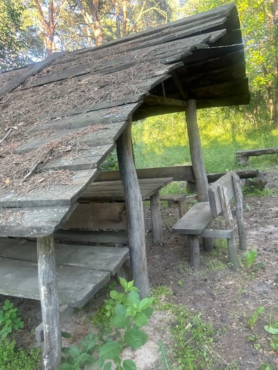 In Chmyrivka, Ukraine, a rustic wooden gazebo stands in a wooded area. The gazebo has a sloped, weathered roof covered in pine needles and debris. Beneath the roof, a wooden table and bench are visible, constructed from rough-hewn planks and supported by sturdy wooden posts. Another wooden bench, separate from the table, is also present. The ground is covered in dirt, fallen leaves, and sparse vegetation. Sunlight filters through the surrounding trees, illuminating the scene. The overall impression is one of a simple, aged, and natural resting place in a forest setting.