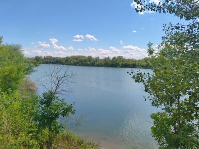 The image depicts a calm, blue lake surrounded by lush green trees and vegetation under a clear blue sky dotted with white clouds. The foreground features trees with vibrant green leaves and some dry branches, framing the view of the lake. The water surface has gentle ripples. The far bank of the lake is lined with a dense forest. The scene appears to be a natural landscape, possibly a park or recreational area in or near the city of Tryokino, Kazakhstan, given the context. There are no people or animals visible in the image.