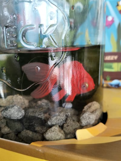 A close-up, eye-level, indoor shot shows a red, plastic goldfish ornament submerged in dark liquid inside a clear glass jar. The jar is embossed with the letters "ECK". The goldfish is positioned in the center of the frame, its body facing to the right, with its mouth slightly open and its eye visible. Its fins are spread out, and its tail is curved. The bottom of the jar is filled with gray and black rocks of various sizes. The background is blurred, but appears to be a colorful illustration with light blue and green hues, and some pink and yellow shapes, possibly depicting underwater plants or cartoon characters. The jar is resting on a yellow surface, likely a tablecloth or a table. There are no people or animals present in the image. The lighting suggests an indoor environment, possibly a home or a decorative display. The image does not contain any information that would allow for its location to be specified in the city of Congaz, Moldova.