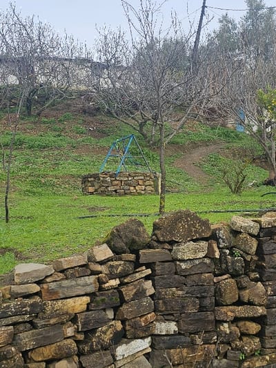 The scene depicts a rural or semi-rural landscape in Moqrisset, Morocco, under an overcast sky. In the immediate foreground, a dry-stacked stone wall, composed of irregular, moss-covered, and weathered stones ranging in color from grey to brown, spans horizontally across the lower portion of the frame. Beyond this wall, an upward-sloping, verdant grassy field extends towards the background.

Centered in the midground, a circular stone-lined well is visible, topped by a blue, angular metal A-frame structure, likely serving as a support for a well pulley system. Several bare-branched deciduous trees, indicative of winter dormancy or early spring, are interspersed across the grassy slope. A narrow, unpaved dirt path meanders uphill from the right side of the frame, disappearing behind the trees. Black irrigation hoses are partially visible lying on the grass in the midground.

In the background, more deciduous trees with sparse branches are present. To the left, sections of light-colored buildings with flat roofs are situated on the crest of the hill. To the right, a more densely foliated evergreen tree and a blue door or shutter on another structure are discernable. No individuals or animals are present within the frame.
