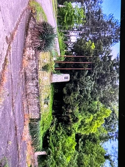 The image captures an outdoor scene featuring a stone monument situated on a raised, terraced area. The monument is centrally located, tall and light-colored, with an indistinct rectangular plaque or emblem visible on its front face. Behind the monument stand three tall, slender poles, possibly flagpoles, with no flags attached.

The monument area is bordered by a low stone retaining wall, above which a decorative metal fence is installed. This fence features distinct white star-shaped embellishments. Lush, green vegetation surrounds the monument, including a large, spiky, yucca-like bush to the left, and dense trees and bushes forming a backdrop and covering the ground in many areas. The trees in the background are a mix of tall conifers and other leafy species.

In the foreground, a dark, paved surface, likely a road or pathway, curves to the left. This surface shows signs of age with numerous cracks and some weeds growing through them. No people or specific activities are visible, lending the scene a quiet, possibly serene or somewhat neglected atmosphere. The lighting suggests it is daytime, possibly under an overcast sky or with dappled sunlight, as there are no harsh shadows. The scene portrays a memorial or significant marker within what appears to be a park-like or roadside setting. There is no decipherable text visible on the monument or fence.