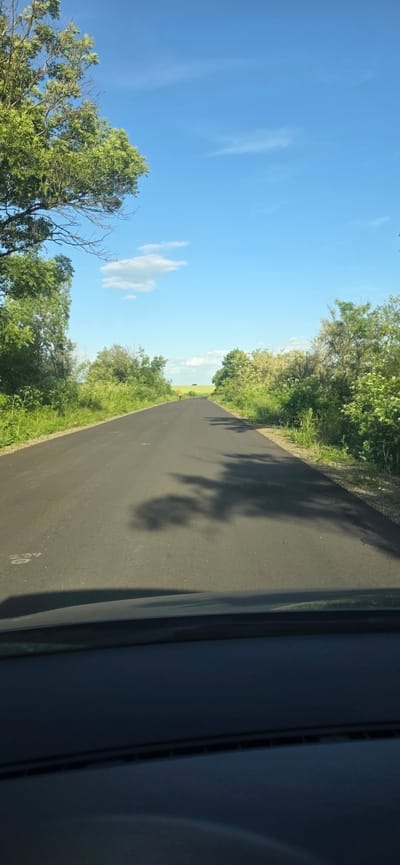 A slightly tilted, eye-level shot captures a paved road running through Krushovo, Bulgaria. The road, which takes up the majority of the frame, is flanked by trees and green foliage on both sides. A clear blue sky with sparse clouds is visible above the trees on the left, while the right side of the image includes the interior of a vehicle, suggesting the shot was taken from inside a car.