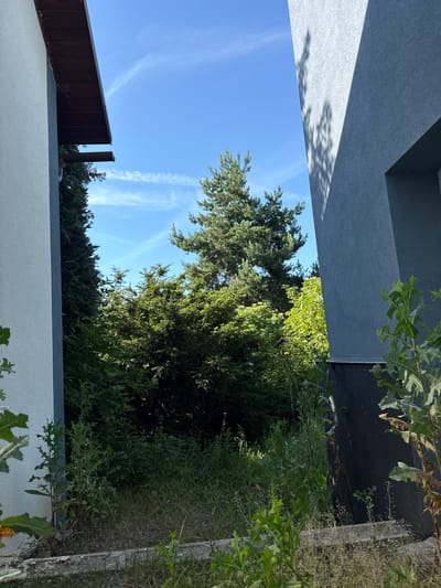 This is a vertically oriented, close-up, outdoor photograph taken during the day. The image showcases a section of a residential building's exterior, a chimney, and abundant greenery. The building features a modern design with smooth, light gray walls and a dark brown, angled roof element. A metallic chimney, likely for heating, is visible protruding from the roof.

The background is dominated by a clear blue sky with a few wispy white clouds. A large evergreen tree, possibly a fir or pine, occupies the central part of the frame, its branches reaching towards the sky. Surrounding the evergreen are various other trees and dense foliage, suggesting a garden or wooded area adjacent to the property. Some of the plants appear to be tall weeds and leafy shrubs.

The lighting suggests it is daytime, with dappled sunlight casting shadows from unseen trees onto the building's wall. The overall impression is one of a suburban or rural setting in a temperate climate, likely in the Czech Republic given the location context of Tlustovousy. There is no visible text in the image, and no people are present. The scene conveys a sense of natural beauty and domestic tranquility.