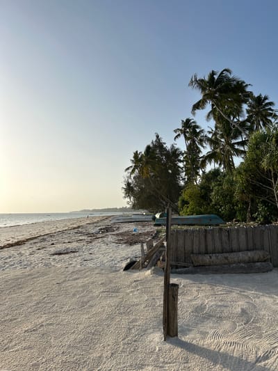 The image, if viewed upright, captures a serene tropical beach scene in Kiwengwa, Tanzania, under a bright, clear sky.
A vast expanse of light blue sky dominates the upper left portion of the frame, gradually lightening to a soft, hazy white-blue closer to the horizon on the right, indicative of strong daylight. Dense, lush green foliage, predominantly featuring numerous tall coconut palm trees with their characteristic fronds, forms a verdant border along the middle and right side of the image, separating the land from the sky and beach.
The foreground and much of the lower right are filled with light-colored, possibly white, sand. The sand exhibits intricate ripple patterns, likely sculpted by wind or receding tides, and some faint tracks are visible. Closer to the vegetation, the sand shows darker, possibly damp, patches that may include seaweed.
Several rustic wooden structures are present on the sandy edge where the trees begin. These include a small, primitive hut or shelter with a textured wall, possibly made from woven natural materials. Adjacent to this, a sturdy wooden post stands upright in the sand, connected to a horizontal beam, forming a simple support structure or frame. Partially obscured near the water's edge, close to these structures, is a blue object that could be part of a small boat or other debris.
The calm ocean stretches into the distance on the far right, meeting the sky at a slightly hazy horizon. No people are visible, lending a sense of untouched natural beauty and tranquility to the scene. The bright, clear conditions suggest a sunny daytime, likely late morning or early afternoon. There is no visible text in the image.