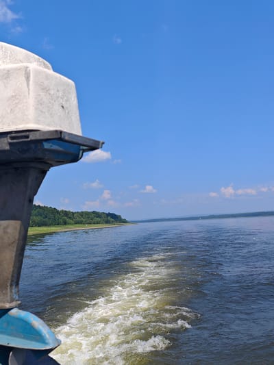 An outboard motor of a boat, partially visible in the foreground on the left, propels the vessel through a large body of water, leaving a white wake. The water is a deep blue, with the wake appearing foamy and disturbed. In the distance, a tree-lined shore stretches horizontally across the frame, with a narrow strip of lighter green land visible along the water's edge. The sky above is a vibrant, clear blue with a few scattered white clouds. The overall impression is that of a sunny day on the water, likely on a river or lake, with the boat moving away from the viewer and towards the distant shore. No people are visible in the image. The location is the Ob River, near the village of Pogodaevo, in the Novosibirsk Oblast of Russia.