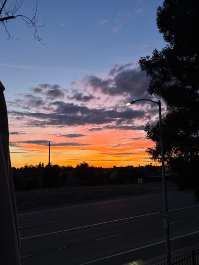 The image depicts a street scene during a sunset in Sacramento, California. The sky is a gradient of blues, purples, and oranges, with scattered clouds. A street light illuminates on the right side of the frame, casting a shadow from a large tree. In the foreground, there is a road with lane markings. A sign pointing to the left indicates "LIBRARY." In the background, a silhouette of trees and houses is visible against the colorful sky. A bare tree branch extends from the top left corner of the image. The overall impression is that of a peaceful evening in a suburban or urban setting.