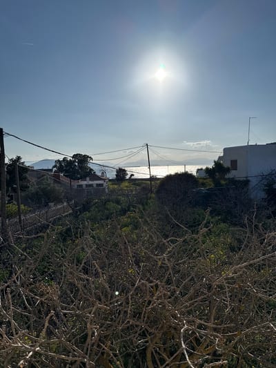 The image displays a bright, sunlit coastal landscape from an elevated perspective. The main view is dominated by a brilliant sun and a sparkling body of water, flanked by land covered in buildings and vegetation.

In the upper left quadrant of the image, the sun shines intensely, creating a strong lens flare that radiates across the clear, light blue sky. A faint, thin contrail from an aircraft is visible in the upper sky, above and to the left of the sun's glare.

Stretching horizontally across the mid-ground is a shimmering body of water, likely a sea or large lake, reflecting the bright sunlight with numerous sparkling highlights. Distant landmasses or mountains, appearing hazy and blue, are visible on the horizon beyond the water.

The right side and foreground of the image are densely covered with vegetation. Prominently featured in the immediate foreground are the intricate, bare, gnarled branches of a deciduous tree or large bush, creating a complex pattern of lines and shadows. Deeper within this vegetation, some sparse green foliage and hints of yellow blossoms are visible.

Several buildings are nestled among the greenery on the land separating the viewer from the water. Towards the upper right, a white building with a flat roof is visible, featuring a small antenna on top and a dark, rectangular window or shutter. Further down, another building with a reddish-brown tiled roof can be seen. Utility poles and power lines traverse the scene horizontally across the mid-ground, connecting various points and adding a man-made element to the natural landscape.

The overall impression is one of a sunny day with clear weather, likely morning or late afternoon given the sun's position and the strong glare. The elevated viewpoint suggests the photograph was taken from a hill or higher ground looking down towards the coast.