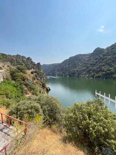 This image depicts a panoramic view of the Douro River flowing through a deep, verdant gorge, characteristic of the International Douro Natural Park near Miranda do Douro, Portugal. The scene is captured under a clear, bright blue sky with a singular small white cloud visible in the upper right quadrant.
The river, a prominent feature, is calm and displays a dark green hue, reflecting the surrounding landscape. It is bordered on both sides by steep, rugged hillsides. These slopes are densely covered with dark green, low-lying trees and shrubs, interspersed with visible rock formations.
In the immediate foreground on the left, a reddish-brown metal railing of a concrete or stone pathway is partially visible, indicating an elevated viewpoint. Further along the left bank, a light-colored road or pathway with a retaining wall can be seen winding along the hillside adjacent to the water.
On the right side of the frame, extending from the right bank into the river, a distinctive white, multi-segmented structure is visible, composed of several horizontal and vertical elements, resembling a mooring or demarcation system. The foreground also features areas of dry, yellowish-brown grass and green shrubbery. No individuals or active interactions are present in the scene.