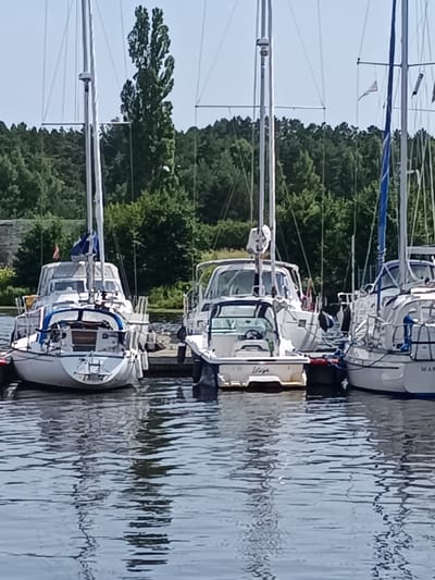 In Pāvilosta, Latvia, several sailboats are docked side-by-side on a body of water. The boats are white with various blue accents and masts. Some have covered cabins, while others are open. The water reflects the boats and the surrounding greenery, which includes tall trees forming a dense forest backdrop. The sky is clear and pale blue. The scene appears calm and serene, typical of a harbor or marina.