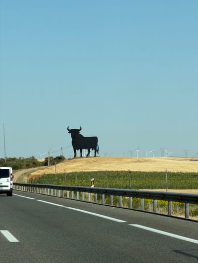 The image shows a large, black, silhouette sculpture of a bull standing on a hill. The bull is facing left and appears to be made of metal. Behind the bull, there are several wind turbines in the distance, suggesting an open, rural landscape. The ground around the bull is covered in dry, golden grass, and there are rows of green plants, possibly sunflowers, in the foreground. A white van is visible on the left side of a paved road in the foreground, driving away from the viewer. A metal guardrail runs along the edge of the road, separating it from the field. The sky is clear and blue. The location is identified as near Honrubia, Spain, a common place for these "Toro de Osborne" sculptures.
