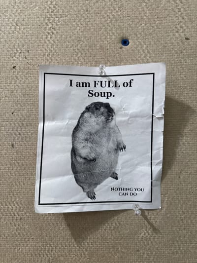 A printed white sheet of paper is affixed to a textured, beige-colored wall using three clear push pins and one blue push pin. The sheet contains a black-and-white image of a round, furry animal lying on its back. The text "I am FULL of Soup." is printed in bold, black, vertical font on the left side of the sheet, and the text "NOTHING YOU CAN DO" is printed in a similar font on the right side, oriented vertically. The sheet is bordered with a black line. The photograph was taken in the town of Red Hook, New York, United States of America.