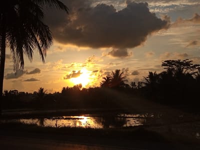 This image depicts a sunset over a rural landscape in Cotpuuk, Indonesia. In the foreground, a body of water, likely flooded rice paddies, reflects the golden hues of the setting sun. The water's surface is disturbed by ripples and scattered debris. Along the edge of the water, tall grasses and other vegetation are silhouetted against the light.
Dominating the middle ground is a dense line of trees, primarily palm trees, which are silhouetted and appear dark against the bright sky. Some of these trees have distinctive fronds that are clearly visible.
The sky is filled with dramatic clouds. A large, dark, ominous cloud formation hangs in the upper portion of the image, obscuring a significant part of the sun. Below this, the sun is a brilliant burst of yellow and orange light, with rays of light emanating outwards and filtering through thinner clouds. The sky transitions from bright orange and yellow near the sun to lighter shades of orange and pale blue further away, with scattered smaller clouds in various shades of gray and white.
The overall impression is one of a tropical sunset, with the natural elements of water, vegetation, and sky combining to create a visually striking scene. There are no people or animals visible in the image.