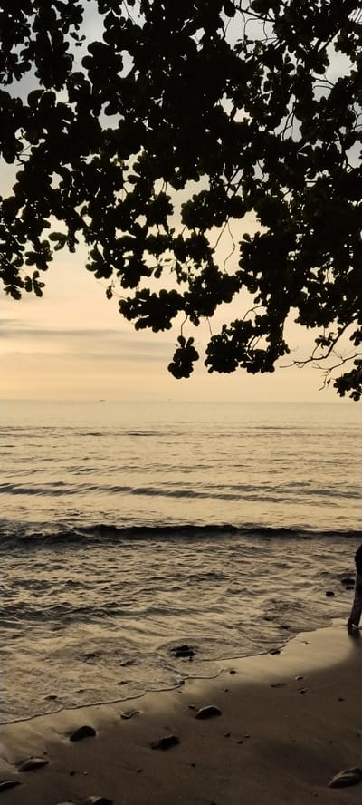 A silhouette of tree branches with leaves hangs over a tranquil ocean scene at dusk in Senggigi, Indonesia. The sky is a pale yellow, transitioning to a lighter hue towards the horizon. Gentle waves roll onto a sandy beach scattered with pebbles. In the distance, two small boats are visible on the water. A person's legs and feet are partially visible on the right side of the frame, standing on the sand near the water's edge. The overall atmosphere is serene and peaceful.