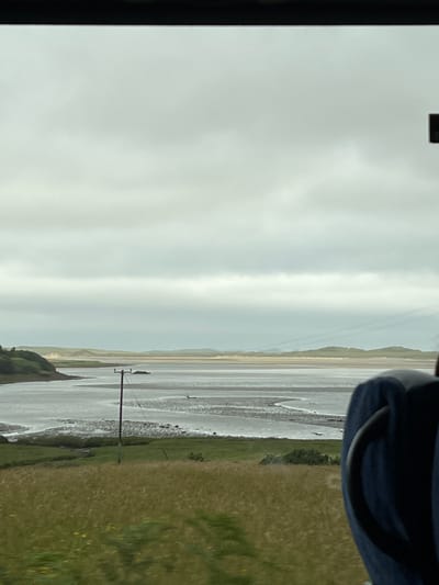 This is a vertical, landscape-oriented photograph taken from what appears to be a moving vehicle, as indicated by the partially visible dark fabric in the upper right corner, possibly an armrest or clothing, and the dark framing on the left edge, suggesting a window. The scene depicts a wide, flat, and somewhat desolate coastal landscape under an overcast sky.

The main subject is the expansive, wet sand flats of a beach or estuary, reflecting the muted, cloudy sky. The water level is low, revealing the textured surface of the sand with ripples and shallow pools. In the distance, rolling hills or dunes are visible, creating a soft, hazy horizon. A single, dark utility pole with wires stretches across the mid-ground, a solitary human-made element in the natural expanse. To the right of the sand flats, a strip of green, grassy land with a few small yellow wildflowers runs parallel to the shore.

The weather is overcast and appears to be either early morning or late afternoon, given the diffused light. There are no people clearly visible in the scene, though a few small dark shapes that could be birds or rocks are scattered on the wet sand. The overall mood of the image is calm and perhaps a bit melancholic due to the muted colors and overcast conditions. The location context provided is Killult Lower, Ireland, which suggests a coastal setting in the west of the country. No text is visible in the image.