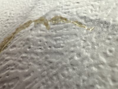This is a close-up, abstract shot of a textured surface, possibly fabric, with a light gray, mottled pattern. A thin, yellowish-brown line, appearing somewhat organic or like a dried substance, snakes across the surface from the lower left to the upper right. The texture of the background appears to be a woven material with a grid-like pattern, over which there are irregular darker and lighter splotches creating a slightly rippled or uneven visual effect. The lighting is diffuse, casting soft shadows and highlighting the textures. There is no discernible activity, people, or text. The overall impression is one of microscopic detail or an abstract study of texture and form.