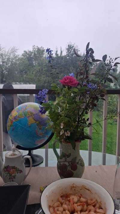 This image depicts an outdoor setting on a table, likely a balcony or patio, with a backdrop of trees and an overcast sky. The foreground features a collection of objects: a globe with a black stand, a decorative teapot with floral motifs, a vase filled with a bouquet of flowers and berries, and a bowl containing cooked shrimp. A person wearing a dark hooded jacket is partially visible in the background, standing near a railing. The overall scene suggests a casual gathering or moment of contemplation in a natural, possibly rural, environment. The location is stated to be Орбита Снт (терпигорьево), Russia.