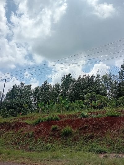 The image displays an outdoor scene in Mururi, Kenya, primarily comprising sky, utility infrastructure, and vegetation over a natural slope. The upper half of the frame is dominated by a partially cloudy sky, featuring a mixture of white and grey clouds interspersed with areas of light blue. Six parallel black utility lines traverse horizontally across the upper-mid section of the image, extending from a dark utility pole positioned on the far left. Below these lines, a dense canopy of dark green trees forms a continuous background. The mid-ground features a prominent reddish-brown earthen slope, which is partially covered by patches of green grass and smaller shrubs. Several larger broad-leafed plants, consistent with banana trees, are also visible on this slope among other foliage. The immediate foreground consists of a narrow strip of lighter green grass. No human subjects, animals, or specific actions are depicted within the scene.
