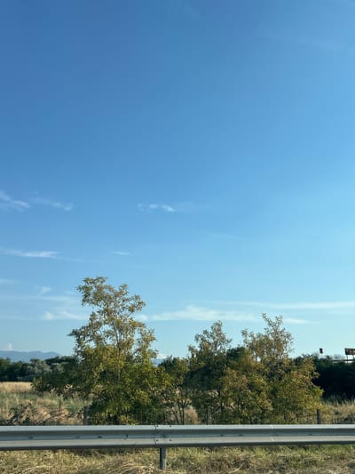 The image depicts a rural landscape in Tsalapitsa, Bulgaria, under a clear blue sky with wispy white clouds. The scene is dominated by a large expanse of sky on the left, transitioning to trees and vegetation on the right, separated by a silver metal guardrail. The trees, with their green and yellow foliage, suggest it may be late summer or early autumn. In the background, rolling hills are visible under the bright sky. The lighting indicates it is daytime, likely midday, given the intensity of the sun. The overall impression is one of a serene, open natural environment. There are no people or active events taking place; it is a still shot of the environment. The image is oriented vertically, suggesting it was taken from a moving vehicle, possibly along a roadside.