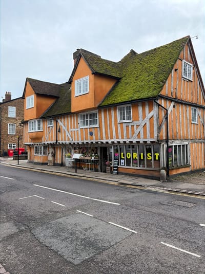 The image depicts a street scene in East Hertfordshire, United Kingdom, featuring a prominent two-story, half-timbered building. The building's facade is rendered in orange with contrasting white timber framing, and its steeply pitched roof is extensively covered in vibrant green moss, with sections of brown roof tiles also visible. Multiple white-framed windows are present on both floors and within dormers.
The ground floor of the primary building operates as a florist shop. Large display windows showcase flowers and plants, with the yellow lettering "LORIST" visible through the glass on the right side. Outside the shop entrance, various floral arrangements and potted plants are displayed on white metal stands. A light-colored, full-length statue of a robed figure stands to the left of the shop's main entrance, and a circular blue plaque is affixed to the building's wall above the statue. A small chalkboard sign rests near the display stands.
To the left of the main building, a section of an adjacent brick building with white-framed windows is visible. Two red refuse or recycling bins are positioned near the corner of this brick structure.
The foreground consists of a grey asphalt road with white dashed lane markings and double yellow lines running along the curb. The pavement in front of the shop is narrow. The sky is uniformly overcast, indicating a lack of direct sunlight. No individuals are present in the visible scene.