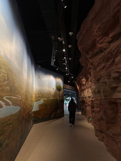 A person walks through a museum exhibit featuring a simulated rock overhang and a large mural depicting a prehistoric landscape with pterodactyls. The scene is lit by spotlights mounted on a black structure. The mural curves from the wall onto the floor, creating an immersive environment. The exhibit floor extends into a simple hallway.
