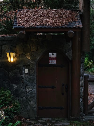 The image shows a wooden door with metal accents set in a stone wall. A security system sign is attached to the door. An exterior light fixture illuminates the wall below the door. To the left of the door, a structure is covered in fallen leaves. The scene appears to be in a wooded area. The sign on the door indicates that the location is in Villarrica, Chile, given the Spanish text.