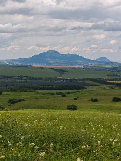 A panoramic shot captures a vast landscape under a cloudy sky, extending from a foreground of wild grass and flowers to distant, hazy mountains. The midground reveals rolling green hills dotted with trees and a darker rectangular area, possibly a solar farm. Beyond that, a town or city is visible at the foot of the mountains. The mountains themselves are a soft blue-green, their peaks rounded and softened by distance and atmospheric haze. The clouds are a mix of light grey and white, casting a diffused light over the scene. The image is devoid of any people or animals. The location is identified as Etoka, Russia.
