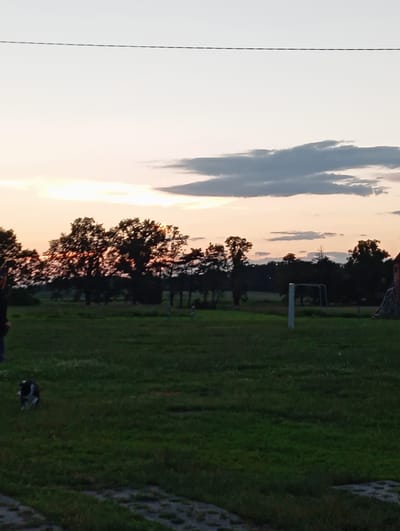The image depicts a grassy field with trees in the background under a cloudy sky during sunset. A soccer goal is visible on the field, suggesting a recreational area. In the foreground, a small dog is present, and to the right, there's a cobblestone pathway. The scene is illuminated by the soft glow of the setting sun, creating a warm and peaceful atmosphere. The time of day is evident from the long shadows and the color of the sky. While the exact location is not explicitly stated, the context provided places it in Sztynort, Poland. There is no visible text in the image.