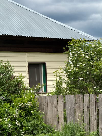 A low-angle view depicts a building facade with a corrugated metal roof on the left, juxtaposed against a light yellow, vertically-sided wall section with a dark-framed window. A dark wooden section is visible adjacent to the yellow wall. A wooden fence stands vertically to the right, partially obscured by vegetation. Flowering plants and greenery grow profusely around the base of the fence and the building. A cloudy sky is visible above the roof. The image does not contain people, interactions, or definitive location markers linking it to Medvedka, Russia.