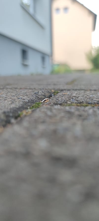 The image shows a close-up, low-angle view of a paved surface, likely a sidewalk or driveway, with a crack running horizontally across the frame. Some small green plants are growing in the crack. In the background, out of focus, are buildings and greenery. The building on the left appears to be light grey with rectangular windows. The building on the right is a lighter, yellowish color with two darker, blurred rectangular shapes that could be windows. The environment suggests an outdoor urban or suburban setting. The image's focus is on the texture and detail of the cracked pavement.