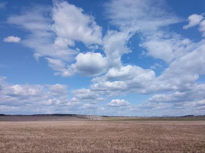 The image depicts a vast, harvested field in Дерезовка, Russia, under a sky filled with cumulus clouds. The field is predominantly brown, with remnants of cut stalks covering the ground. A line of birch trees marks a boundary further into the field. Beyond the trees, a horizon of sparse vegetation and distant structures suggests the edge of the settlement. The sky is a clear blue, punctuated by white clouds. There are no people visible in the scene.