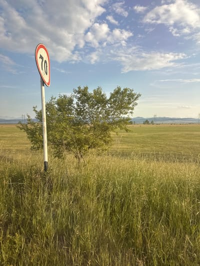 The image shows a landscape scene in Novonikolaevka, Russia. A speed limit sign with the number "70" is visible in the foreground, attached to a white pole. The sign is circular with a red border and a black numeral "70" on a white background. Behind the sign, a green tree stands prominently against a bright blue sky with scattered white clouds. Further in the background, a vast, green field stretches towards rolling hills and distant mountains. Power lines are also visible in the middle ground. The overall impression is a sunny day, likely in the late morning or early afternoon, with fair weather. The setting appears to be rural, with a focus on open fields and natural elements. There are no people or animals visible in the image. The image is oriented vertically, suggesting it was taken with a phone or camera held in a portrait orientation.