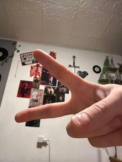 The image displays an indoor setting, located in the city of Lubnya, Russia. In the foreground, a light-skinned human hand is prominently featured, forming a 'V' gesture with the index and middle fingers extended upwards and separated, while the ring finger, pinky, and thumb are folded into the palm. The background consists of a white wall adorned with various items. These include a red and white rectangular sign with partial text, 'RESPECT THE BOR[...]'; a red skeletal figure; several dark-toned posters or prints depicting skulls, stylized flora, and text, including one labeled 'WANTED'. A silver-colored, cross-hilted sword is mounted vertically on the wall. A black heart-shaped object and a circular black disc resembling a vinyl record are also visible. To the upper left, a small vine-like plant decoration is affixed. A white power adapter is plugged into an outlet on the lower portion of the wall, with a white cable extending downwards. On the right side of the frame, a multi-tiered white shelf holds assorted decorative objects, notably a small artificial green conifer tree and several transparent glass vessels. The ceiling is white with a distinct textured pattern.