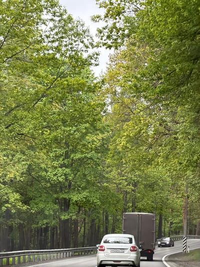 The image shows a roadway in Ushkovo, Russia. Two vehicles are present on the road: a white Lada and a darker-colored car. The Lada has a license plate M400MX 147. A truck is positioned between the two cars. The road is bordered by a dense forest. The sky is overcast.