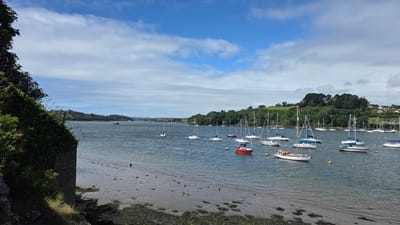 This is a landscape photograph of a harbor filled with sailboats. The scene is set on a cloudy day with the sun intermittently breaking through, creating a bright and airy atmosphere. The water is a deep blue, reflecting the sky and the surrounding greenery.
The foreground features a muddy shoreline with patches of seaweed and small rocks. To the left, a stone wall covered in ivy and barbed wire adds a touch of ruggedness to the otherwise tranquil setting. The middle ground is dominated by dozens of sailboats, their masts creating a delicate silhouette against the water and sky. The boats vary in size and design, with some being classic sailing yachts and others more modern. A few are moored, while others appear to be at anchor. A single red sailboat stands out among the white ones.
In the background, a lush green hillside rises, dotted with trees and a few houses that suggest a coastal town. The distant horizon shows more land and a few more boats, indicating the expanse of the harbor or river. The sky is a mix of blue and white clouds, with the sun casting bright patches on the water.
The overall mood of the image is peaceful and serene, evoking a sense of a calm summer day in a picturesque harbor. There is no visible text in the image. The location is identified as Plymouth, United Kingdom.