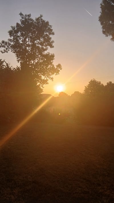 The image depicts a sunset over a grassy field, with silhouetted trees framing the scene. The sun is a bright orb in the sky, casting a strong orange glow and a prominent lens flare across the image. A thin contrail from an airplane is visible in the upper right quadrant of the sky. The environment appears to be rural or suburban, with no specific landmarks indicating the city of Ribérac, France. The lighting suggests late afternoon or early evening. The scene is tranquil and natural, with no people or discernible activities.