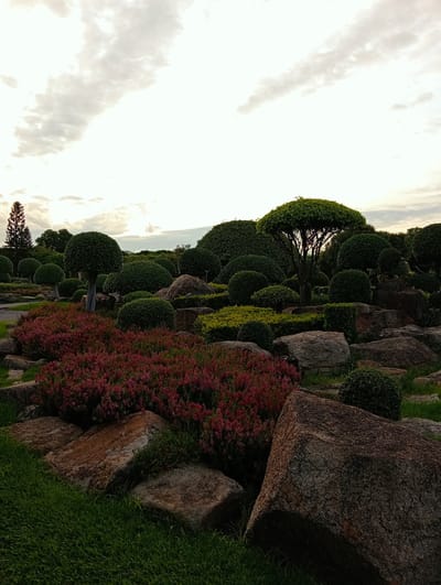 A meticulously landscaped garden features a variety of topiaries, flowering plants, and large rocks under a cloudy sky. The scene is set in a park, likely a botanical garden, with a paved pathway visible in the background. The flora includes neatly trimmed, rounded bushes and trees, along with a bed of vibrant pink flowers in the foreground. The rocks are scattered throughout the garden, adding a natural, rugged element. The sky is overcast with a bright, hazy quality, suggesting it may be early morning or late afternoon. The overall impression is one of serene and organized natural beauty, typical of a well-maintained public garden.