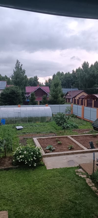 The image shows a backyard in the village of Smorodinka DP, Russia, under a cloudy sky. A greenhouse is visible in the mid-ground, with a blue barrel to its left. Adjacent to the greenhouse are rows of green plants, likely a garden. In the foreground, a well-maintained lawn occupies the lower portion of the image, with a large white flowering bush on the left. To the right of the lawn, raised garden beds filled with soil and young plants are present. In the background, several houses with red and brown roofs are interspersed with lush green trees. A fence made of grey metal and brick pillars separates the yard from the neighboring properties.