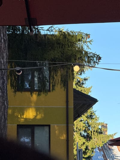 The image shows an outdoor scene in Kačerginė, Lithuania, likely during the daytime given the bright sunlight casting shadows. The setting appears to be a residential area with a building and mature coniferous trees.
The main focus of the image is the side of a building with a bright yellow facade. It features two rectangular windows with dark frames. The building has a dark, angular roof structure that extends from the top.
In front of the building, dense evergreen trees with visible pinecones are abundant, some of which partially obscure the windows. A prominent detail is a string of lights, with one spherical, yellow bulb illuminated, casting a warm glow. A dark, thick, textured element, possibly a log or rough bark, is visible in the foreground, suggesting a natural or rustic element within the scene.
A tall, thin, dark vertical object, possibly a pole or support for the lights, runs through the center of the image. To the left, a large, dark red vertical surface dominates the frame, suggesting another building or structure. In the background, a brick wall with a tiled pattern is partially visible, hinting at a larger urban or architectural context beyond the immediate trees and building.
The overall impression is a mix of natural elements and man-made structures, under clear blue skies. The lighting suggests it might be late afternoon or early morning. No people are visible, and the scene evokes a sense of quiet observation rather than active events. There is no visible text in the image.