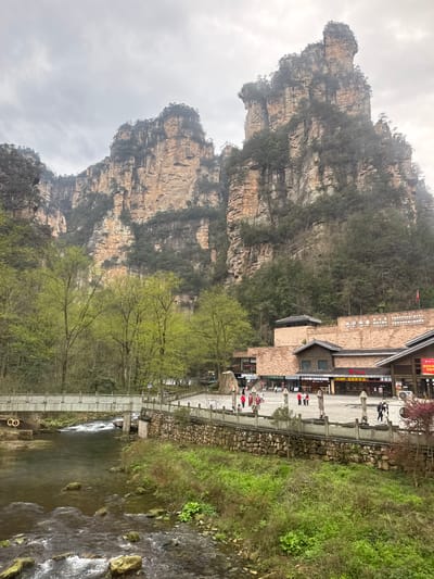 The image depicts a section of the Wulingyuan Scenic Area in Zhangjiajie, China, located within the city of Xiehe. Under an overcast, light grey sky, the background is dominated by towering, vertically striated sandstone pillars and cliffs, partially covered by dense evergreen and early spring deciduous foliage.

In the lower-left foreground, a clear river with visible rocks and minor rapids flows from left to right. A light grey concrete pedestrian bridge with matching railings spans this river. Along the river's right bank, a low stone retaining wall with a decorative railing separates the water from a large, open paved plaza.

Situated beyond the plaza is a complex of multi-story buildings featuring brick-like facades, dark tiled roofs, and traditional Chinese architectural elements. Prominent signage on the largest building includes Chinese characters identifying it as a "UNESCO World Heritage Site Park Management Office" and mentioning "Wulingyuan." Various retail establishment signs are also visible at ground level. A red flag flies from a pole on one of the building roofs.

Approximately twenty individuals, appearing as pedestrians or tourists, are present within the plaza area, walking and standing in small groups. Lush green deciduous trees with fresh spring foliage are scattered along the riverbanks and pathways, contributing to the natural environment. Two orange life preservers are mounted on a stand by the river's edge, near the bridge.