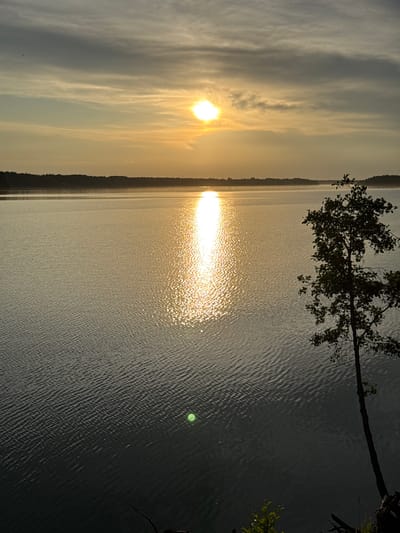 An outdoor, vertical, eye-level shot captures the tranquil expanse of a body of water, likely a lake or bay, on what appears to be a late afternoon or early evening. The sun, a bright, diffused orb, hangs low in the hazy, cloud-streaked sky, casting a shimmering, golden reflection across the rippling surface of the water. A dark, silhouetted tree stands on the right edge of the frame, its branches reaching out towards the water. The distant shoreline is a dark, tree-lined horizon. The scene evokes a sense of peaceful solitude. The location is identified as Priladozhskoe, Russia.