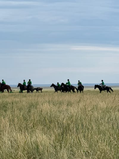 In this vertical-format image, a group of people on horseback are riding through a grassy field under a bright, clear sky. The subjects are dressed in green shirts, and their horses are mostly dark-colored. The scene appears to be set in a rural or open natural environment, with tall, dry grass dominating the foreground. The sky is a soft blue with some subtle cloud formations or atmospheric haze, suggesting a daytime setting, likely late morning or afternoon given the light.
The riders are positioned in a staggered line, moving from the background towards the foreground and slightly towards the left of the frame. They seem to be engaged in a leisurely ride or perhaps a controlled equestrian activity. The tall grass is the most prominent visual element in the landscape, creating a textured, almost abstract pattern. The horizon line is visible in the distance, separating the grassy plain from the sky. There are no visible signs or text in the image. The overall mood is serene and natural, with a focus on the harmonious interaction between the riders, horses, and the open landscape of Kazakhstan.