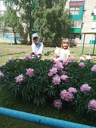 Two young girls are posing in front of a bush of pink peonies. The girl on the left wears a light blue shirt and a blue baseball cap. She is smiling and looking at the camera. The girl on the right wears a light blue overall and a white t-shirt. She is holding a stuffed animal and smiling brightly at the camera. The background shows a brick apartment building with green balconies and trees. A metal bench is visible behind the girls. The scene appears to be outdoors on a sunny day, likely in the late spring or summer. The setting is a residential area, possibly a courtyard. The overall mood is cheerful and innocent. There is no visible text in the image.